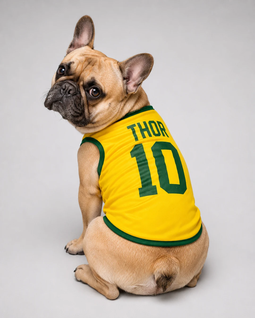 Thor — Bulldog Francês com camisa da Seleção