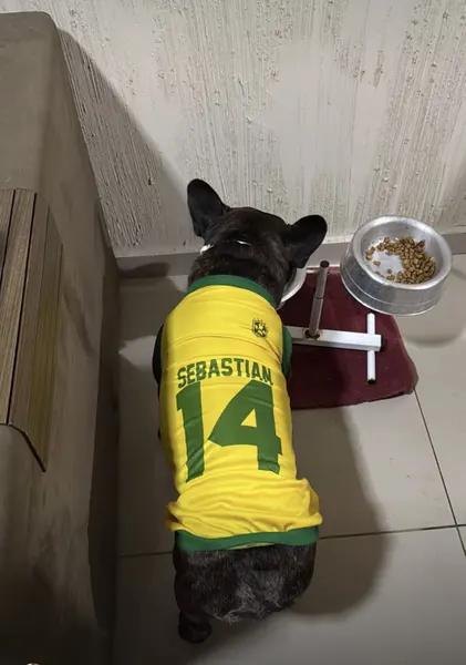 Pet usando camisa personalizada da Seleção